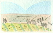 Montalcino